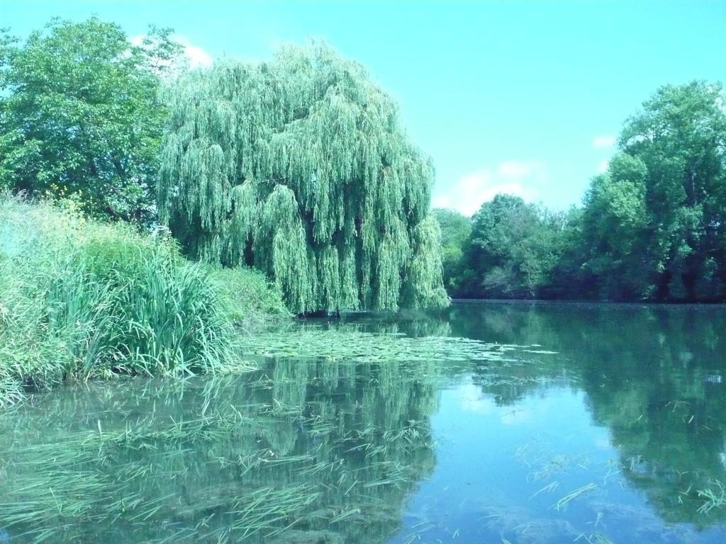 Bed and Breakfast Le Havre De Bennecourt Exterior foto